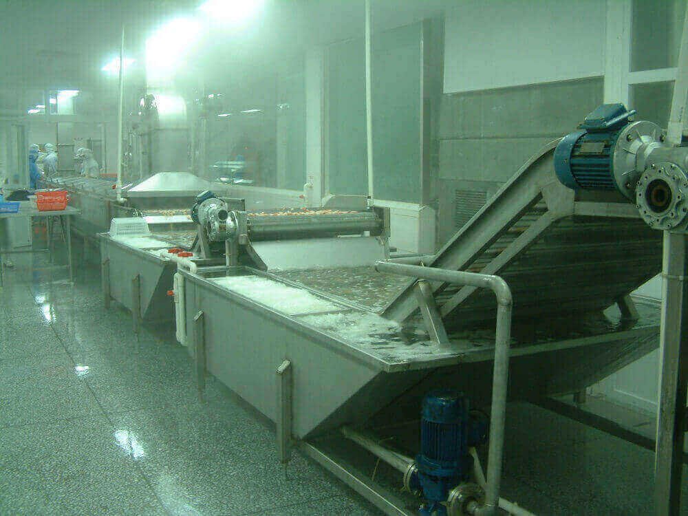 pretreatment and cleaning equipment for frozen food