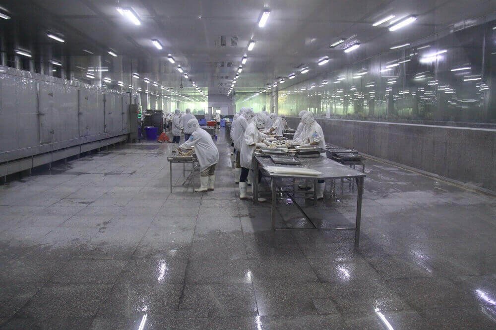 Bread Shrimp Production line